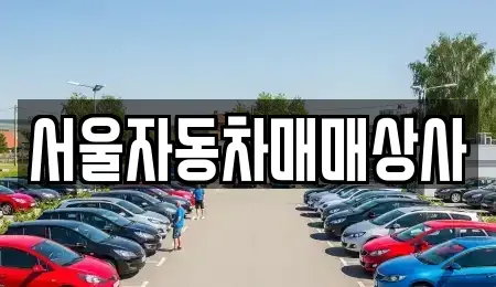 강원특별자치도 원주시 문막읍 중고차매매 전문 서울자동차매매상사