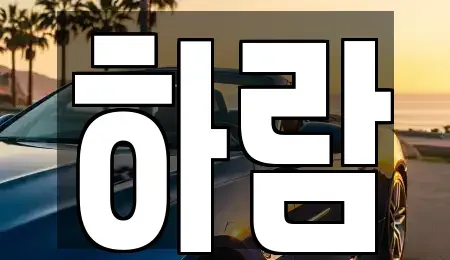 강원특별자치도 원주시 태장동 장기렌트카 전문 하람