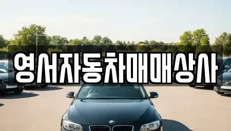 강원특별자치도 원주시 태장동 중고차 전문 영서자동차매매상사