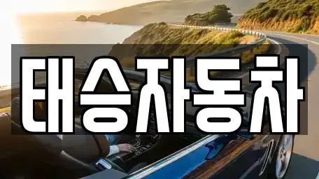 강원특별자치도 원주시 태장동 중고차 전문 태승자동차