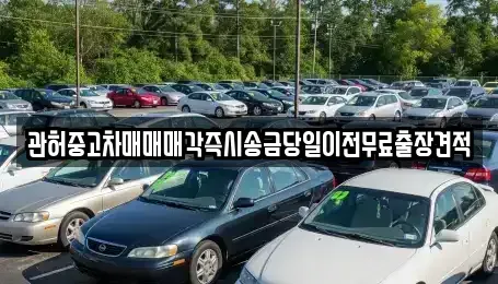 강원특별자치도 원주시 행구동 중고차매매 전문 관허중고차매매매각즉시송금당일이전무료출장견적