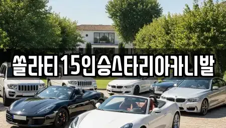 강원특별자치도 춘천시 요선동 렌트카 전문 쏠라티15인승스타리아카니발