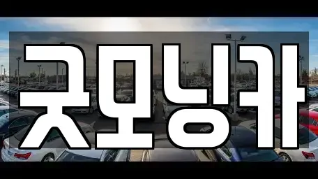 강원특별자치도 춘천시 요선동 중고차 전문 굿모닝카