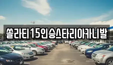 강원특별자치도 화천군 렌트카 전문 쏠라티15인승스타리아카니발