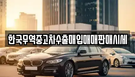 강원특별자치도 화천군 중고차매입 전문 한국무역중고차수출매입매매판매시세