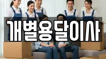 개별용달이사