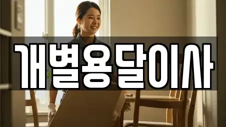 개별용달이사