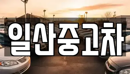 경기 고양시 덕양구 관산동 중고차 전문 일산중고차