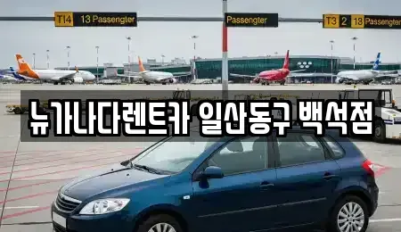 경기 고양시 덕양구 토당동 단기렌트카 전문 뉴가나다렌트카 일산동구 백석점