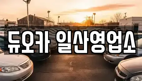 경기 고양시 덕양구 토당동 렌트카,단기렌트카,장기렌트카,중고차,중고차매매,중고차매입