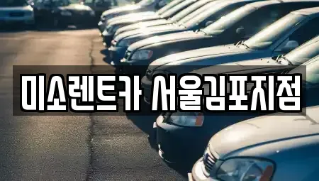 경기 고양시 덕양구 토당동 렌트카 전문 미소렌트카 서울김포지점