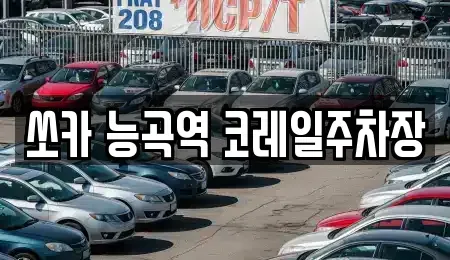 경기 고양시 덕양구 토당동 렌트카 전문 쏘카 능곡역 코레일주차장