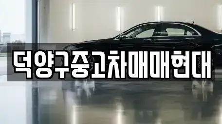 경기 고양시 덕양구 토당동 중고차 전문 덕양구중고차매매현대