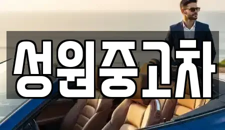 경기 고양시 덕양구 토당동 중고차 전문 성원중고차