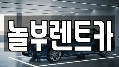경기 고양시 일산동구 마두동 렌트카 전문 놀부렌트카