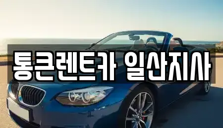 경기 고양시 일산동구 마두동 렌트카 전문 통큰렌트카 일산지사