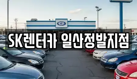 경기 고양시 일산동구 마두동 장기렌트카 전문 SK렌터카 일산정발지점