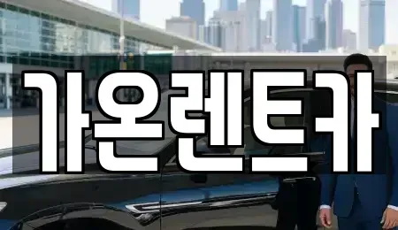 경기 고양시 일산동구 마두동 장기렌트카 전문 가온렌트카