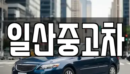 경기 고양시 일산동구 마두동 중고차매매 전문 일산중고차