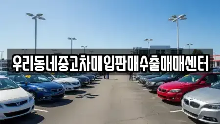 경기 고양시 일산동구 마두동 중고차매입 전문 우리동네중고차매입판매수출매매센터