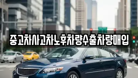 경기 고양시 일산동구 마두동 중고차매입 전문 중고차사고차노후차량수출차량매입