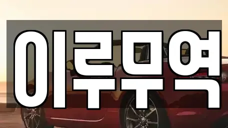 경기 고양시 일산동구 중산동 중고차매매 전문 이루무역