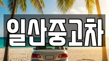 경기 고양시 일산동구 중산동 중고차매매 전문 일산중고차