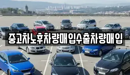 경기 고양시 일산동구 중산동 중고차매입 전문 중고차노후차량매입수출차량매입