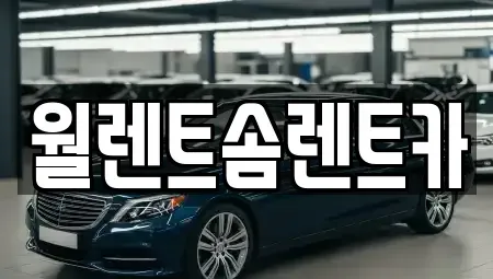 경기 광주시 쌍령동 렌트카 전문 월렌트솜렌트카