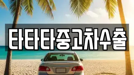 경기 광주시 쌍령동 중고차매매 전문 타타타중고차수출