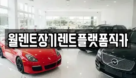 경기 구리시 사노동 장기렌트카 전문 월렌트장기렌트플랫폼직카