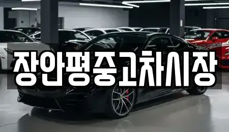 경기 구리시 사노동 중고차 전문 장안평중고차시장