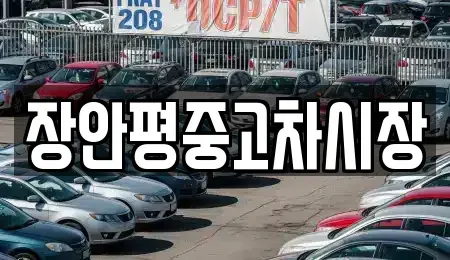 경기 남양주시 삼패동 중고차 전문 장안평중고차시장
