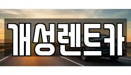 경기 부천시 소사구 소사본동 렌트카 전문 개성렌트카