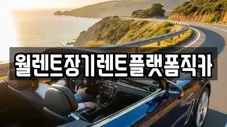 경기 부천시 소사구 소사본동 장기렌트카 전문 월렌트장기렌트플랫폼직카