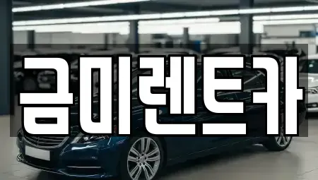 경기 부천시 오정구 고강동 렌트카 전문 금미렌트카