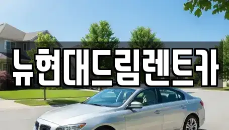 경기 부천시 오정구 고강동 장기렌트카 전문 뉴현대드림렌트카