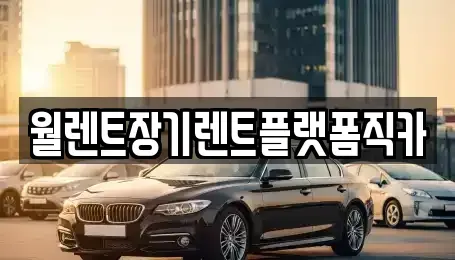 경기 부천시 오정구 고강동 장기렌트카 전문 월렌트장기렌트플랫폼직카