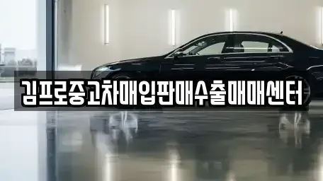 경기 부천시 오정구 고강동 중고차매입 전문 김프로중고차매입판매수출매매센터