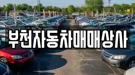 경기 부천시 원미구 역곡동 중고차 전문 부천자동차매매상사