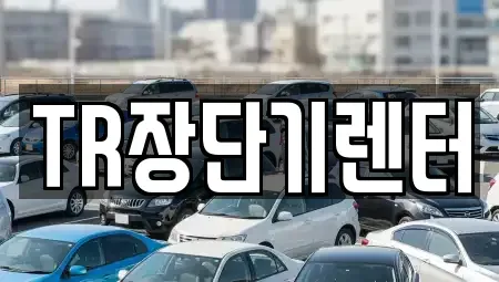 경기 성남시 수정구 단기렌트카 전문 TR장단기렌터