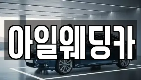 경기 성남시 수정구 단기렌트카 전문 아일웨딩카