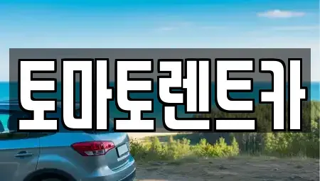 경기 성남시 수정구 산성동 렌트카 전문 토마토렌트카