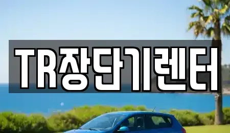 경기 성남시 수정구 산성동 장기렌트카 전문 TR장단기렌터