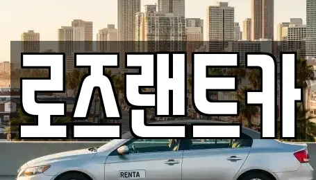 경기 성남시 수정구 신촌동 단기렌트카 전문 로즈랜트카