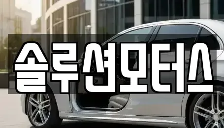 경기 성남시 수정구 신촌동 단기렌트카 전문 솔루션모터스