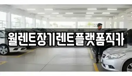 경기 성남시 수정구 신촌동 렌트카 전문 월렌트장기렌트플랫폼직카