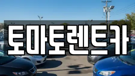 경기 성남시 수정구 신촌동 렌트카 전문 토마토렌트카
