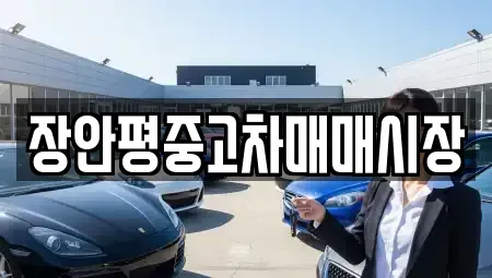 경기 성남시 수정구 신촌동 중고차 전문 장안평중고차매매시장