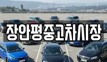 경기 성남시 수정구 신촌동 중고차 전문 장안평중고차시장